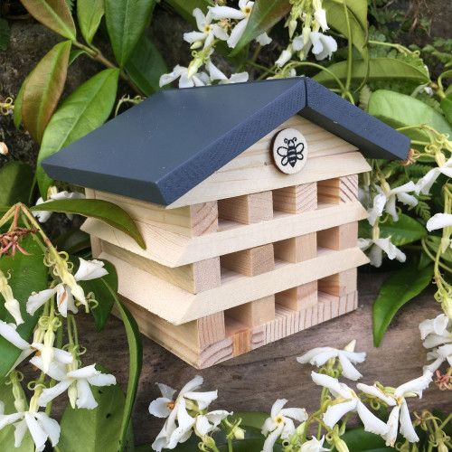 Apples to Pears Gift in a Tin - Build A Bee Hotel Construction Kit (145x105x55mm)