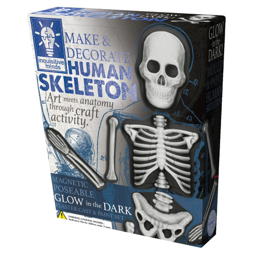 Make & Decorate Human Skeleton - Magnetic, Glow in Dark (18.2x21x5cm) (8+ YRS) (NEW)