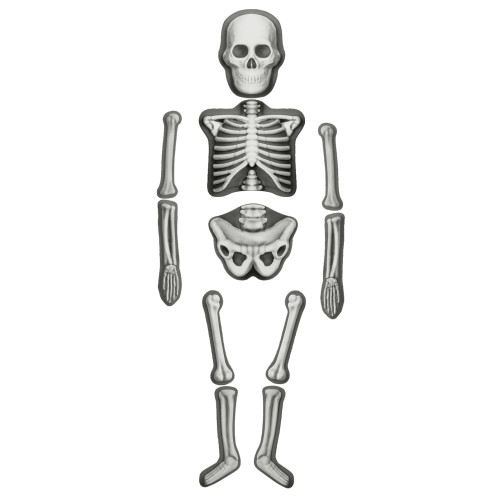 Make & Decorate Human Skeleton - Magnetic, Glow in Dark (18.2x21x5cm) (8+ YRS) (NEW)
