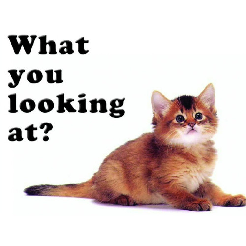 Mini Metal Sign (DC): What You Looking At? (E.O.L.) - SAVE 33% !!