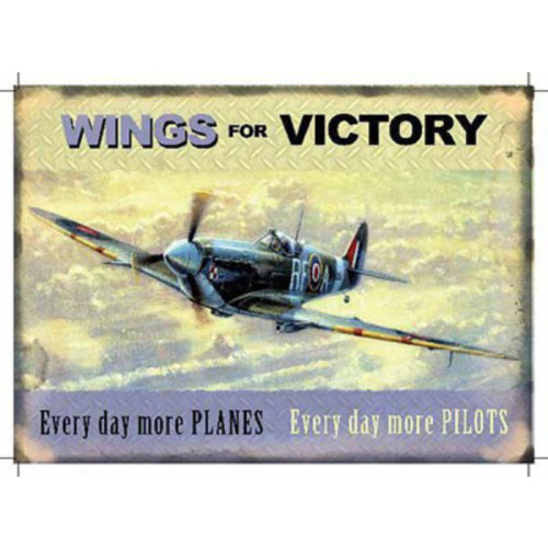 Metal Fridge Magnet (AE): Wings For Victory