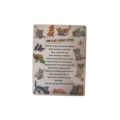Metal Fridge Magnet (HU): How To Be a Cheeky Kitten (E.O.L.) - SAVE 25% !!