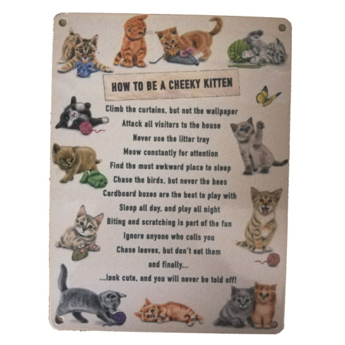 Metal Fridge Magnet (HU): How To Be a Cheeky Kitten (E.O.L.) - SAVE 25% !!