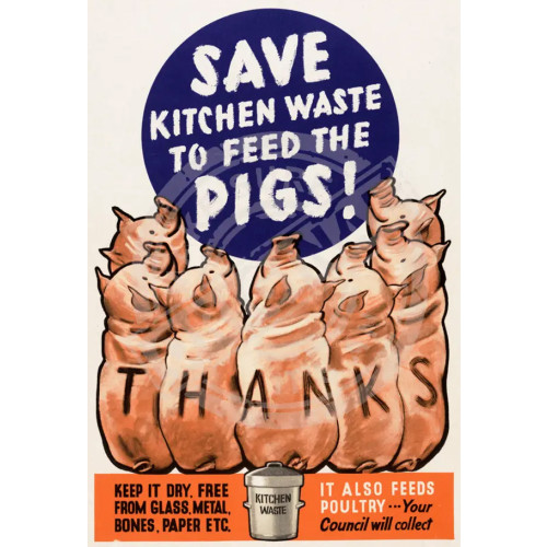 Metal Fridge Magnet (IWM): Feed The Pigs! Save Kitchen Waste