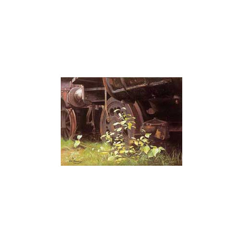 E.B. Gtgs Card G31 Wheels and Weeds (E.O.L.) - SAVE 25% + !!