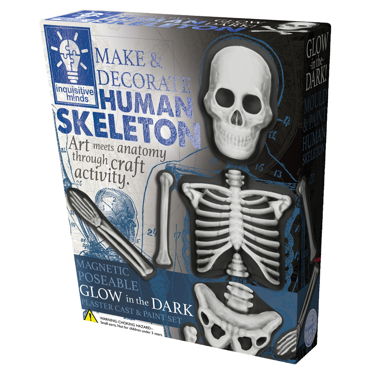 Make & Decorate Human Skeleton - Magnetic, Glow in Dark (18.2x21x5cm) (8+ YRS) (NEW)