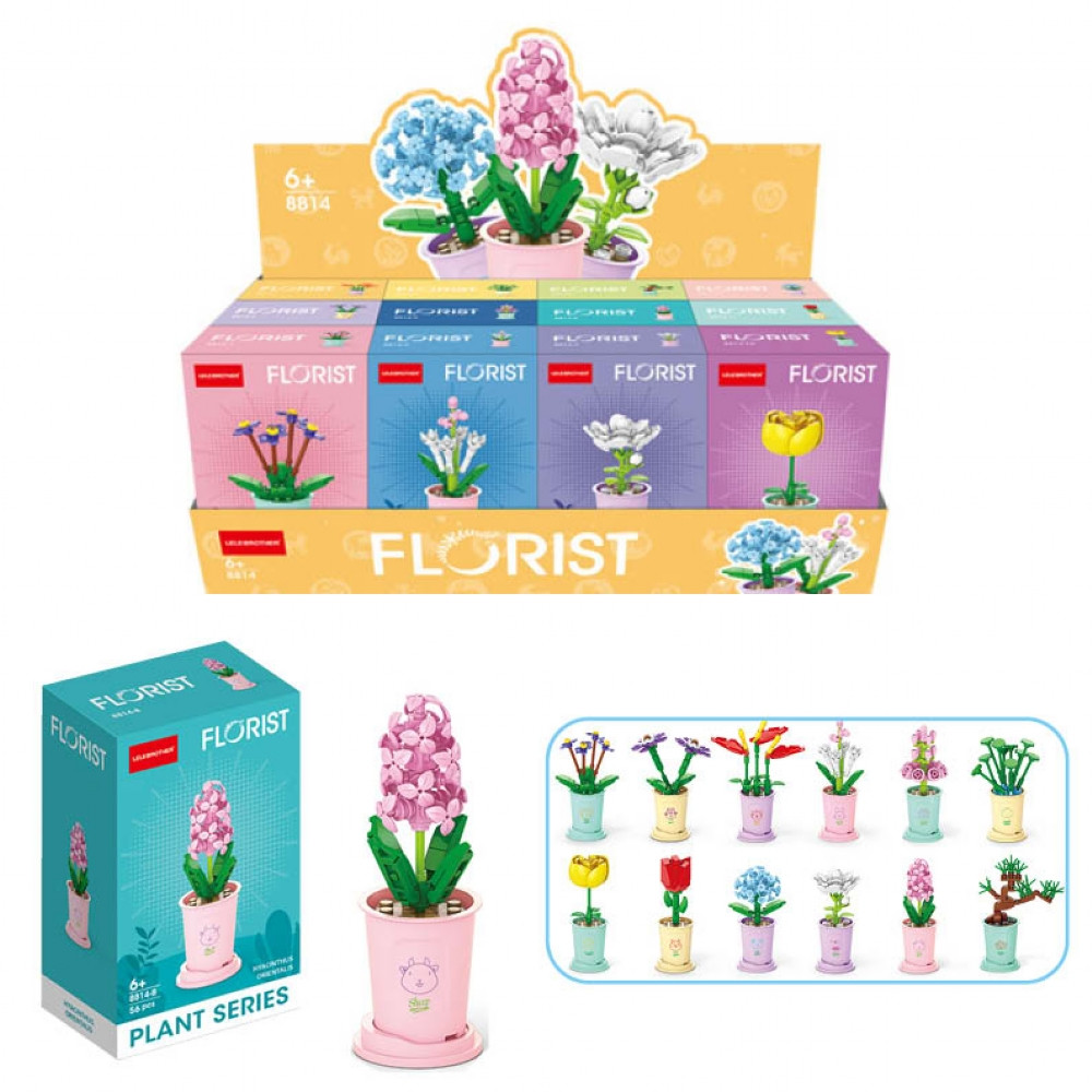 Florist Plant Series Building Bricks Kit (12 asstd.) (CDU) (6+ YRS) (stock due February)
