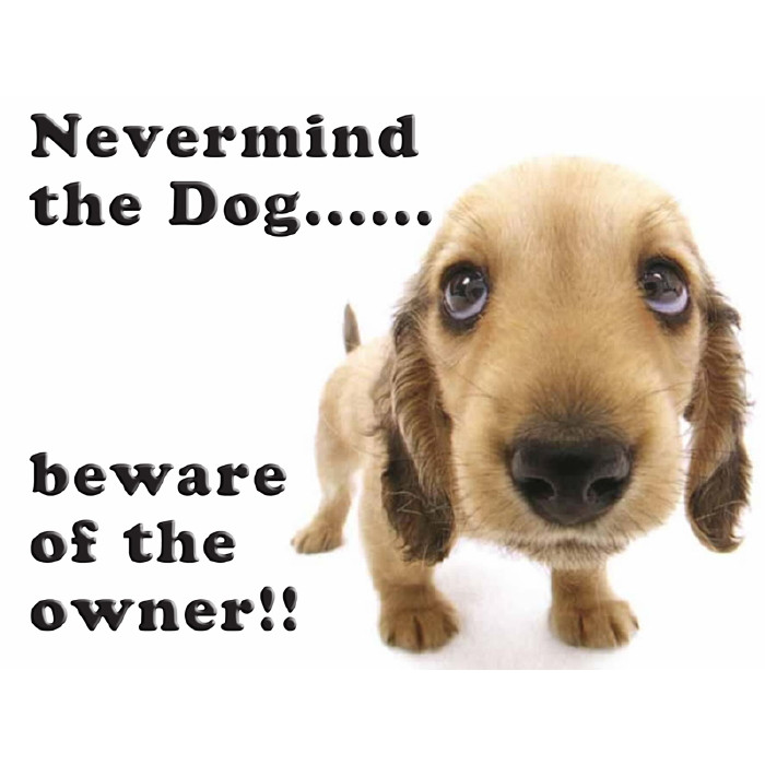 Mini Metal Sign (DC): Never Mind The Dog, Beware Of The Owner