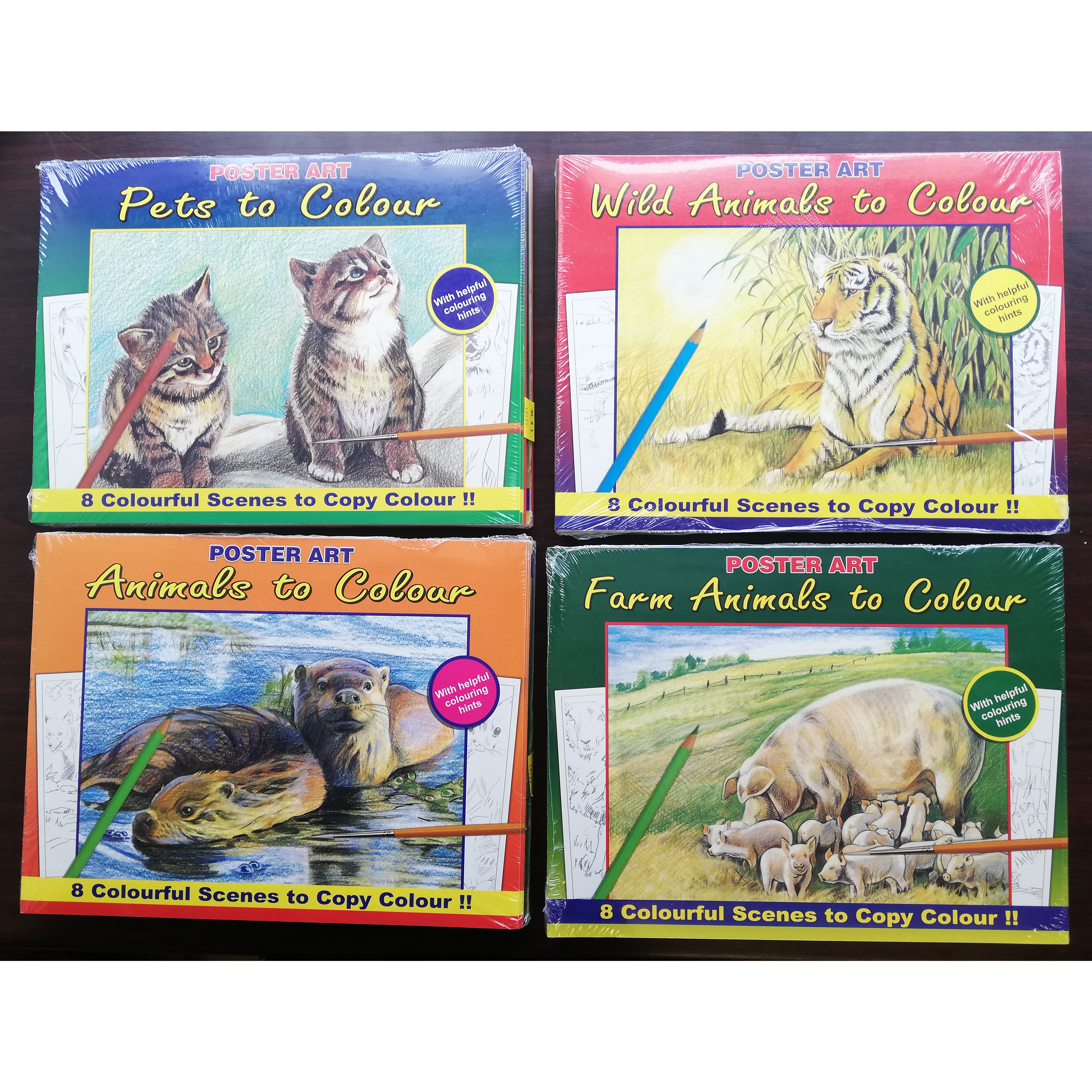 Colouring Book: Animals to Colour (4 asstd.)