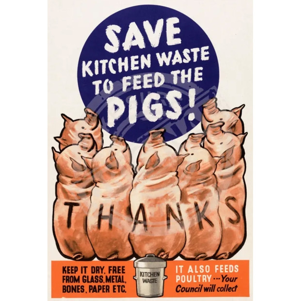 Metal Fridge Magnet (IWM): Feed The Pigs! Save Kitchen Waste