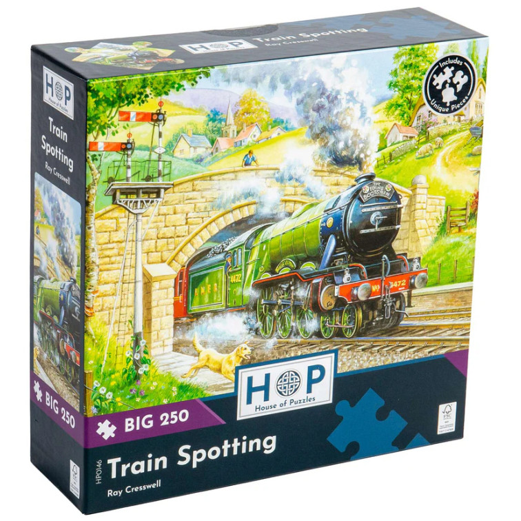 Jigsaw: Train Spotting (Flying Scotsman) (Big 250 pce)
