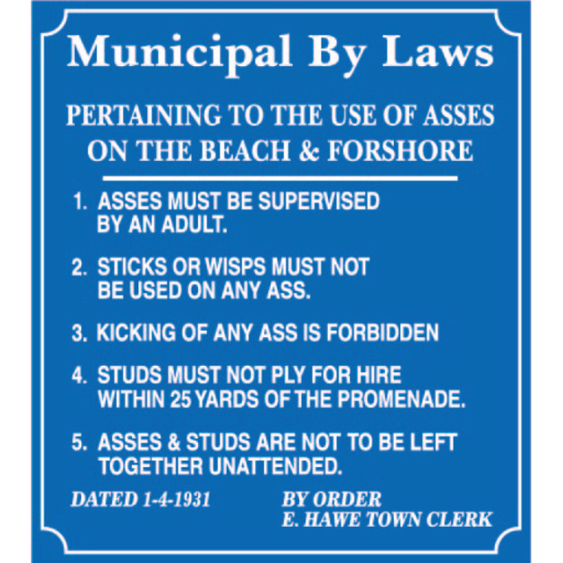 Replica E/S: Municipal Byelaws - Use of Asses on Beach & Forshore
