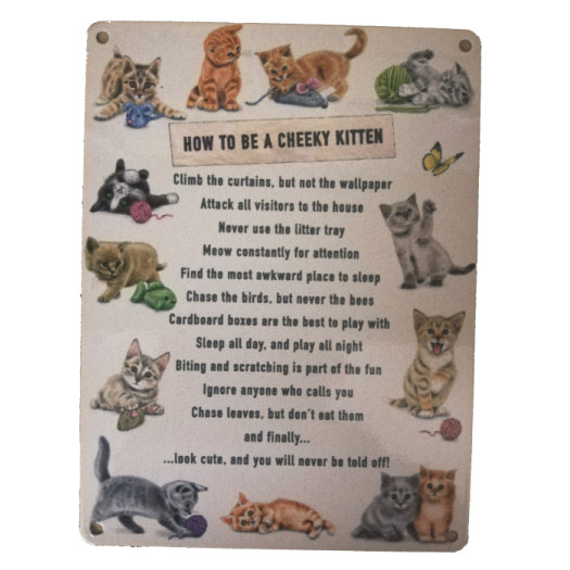 Mini Metal Sign (HU): How To Be a Cheeky Kitten (E.O.L.) - SAVE 25% !!