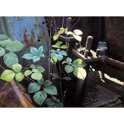 E.B. Gtgs Card G33 Cab Floor Foliage (E.O.L.) - SAVE 25% + !!